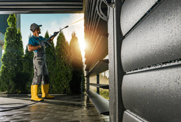 Best Gutter Cleaning  in Rosamond, CA